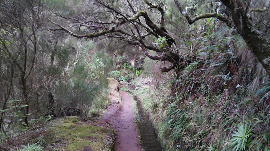 Levada Nova House Villa Ponta do Sol  Dış mekan fotoğraf